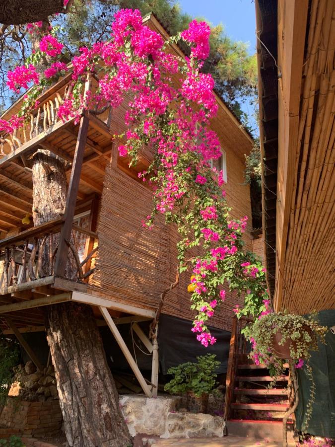 Large Bungalow With Sea View In Kabak Bay, Oeluedeniz Fethiye Bagian luar foto